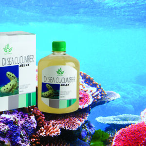 D.I SEA CUCUMBER JELLY (JELI GAMAT)
